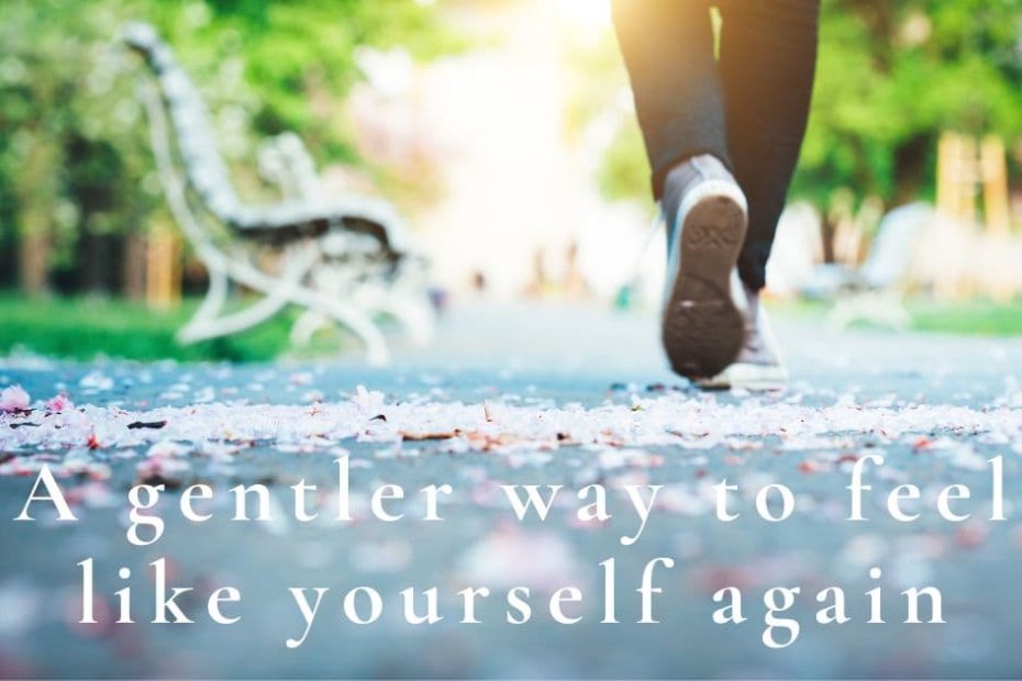 Person walking along a spring path covered in flower petals, with soft sunlight and benches in the background.