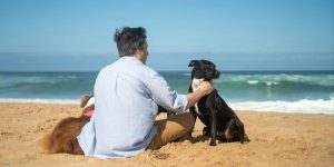 Man sitting on a beach with two dogs, symbolising calm confidence, connection and emotional freedom after overcoming imposter syndrome and self‑criticism.